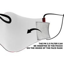 Load image into Gallery viewer, Vintage Red Covid Face Mask